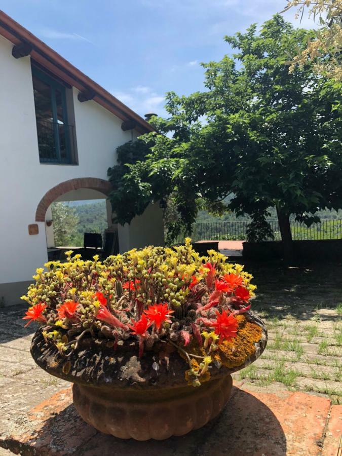Alle Montanine Sughera Florenz Exterior foto
